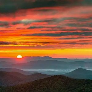 Meet your Posher, Olga